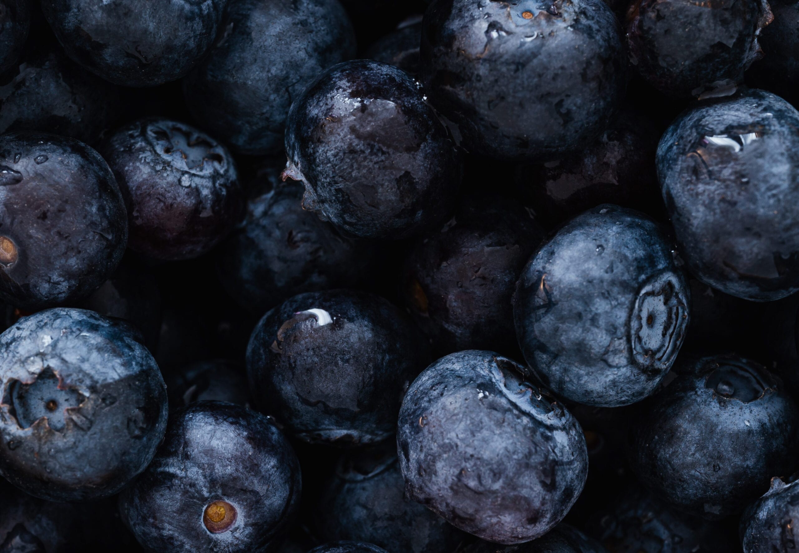 close up of blueberries